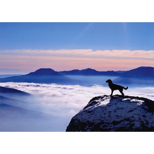Dog On Mountain Pet Sympathy Card