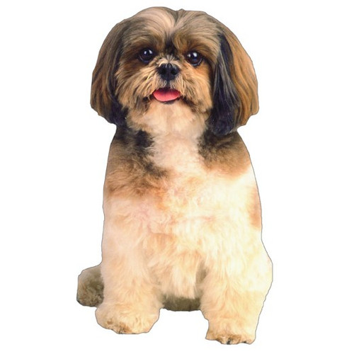 Shih Tzu Die Cut Gift Card Holder Note Card