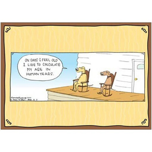 The Home Rhymes with Orange Funny / Humorous Birthday Card: On days I feel old I like to calculate my age in dog years.