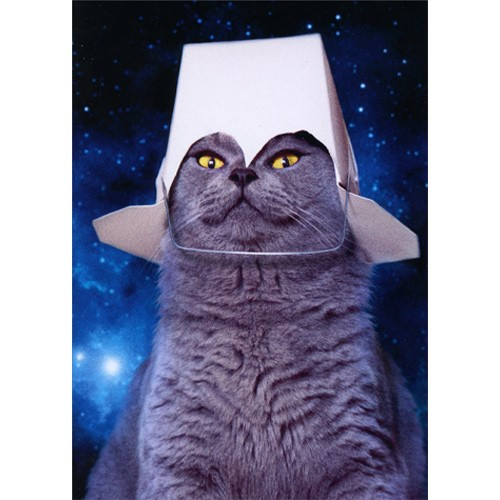 Take Out Space Cat: Pop Up Stand Out Funny Birthday Card