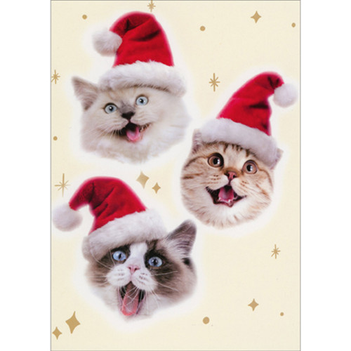 Three Smiling Cat Faces Meowy Christmas Box of 10 Cute / Funny Christmas Cards