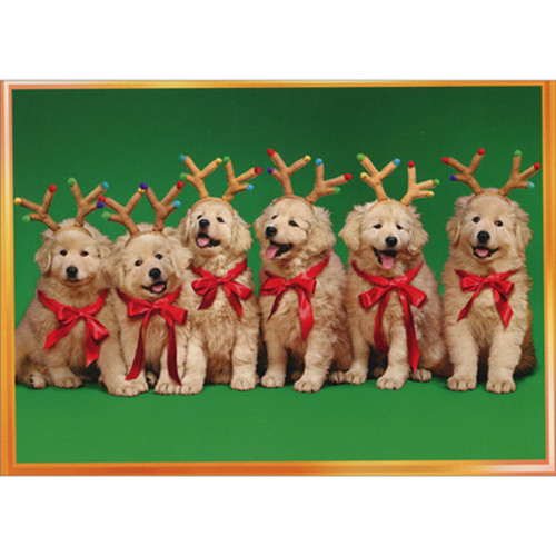 Row of Reindeer Puppies Wearing Antlers Box of 10 Cute Golden Retriever Christmas Cards