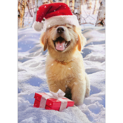 Smiling Santa Puppy in Snow with Red Gift Cute Dog Christmas Card