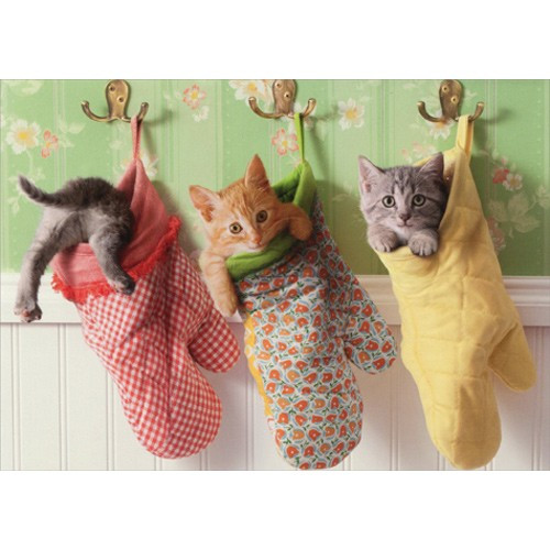 Kittens In Oven Mitts Funny Cat Mother's Day Card