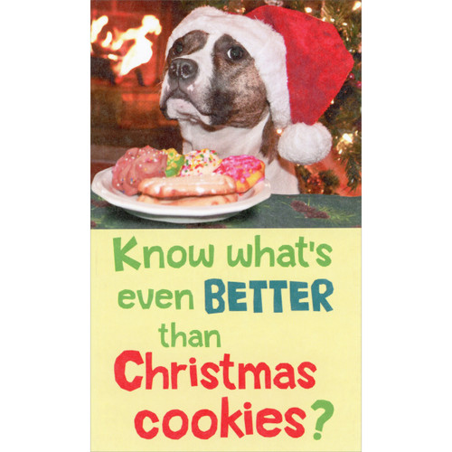 Better Than Christmas Cookies Dog Funny / Humorous Money Holder Christmas Card: Know what's even better than Christmas cookies?