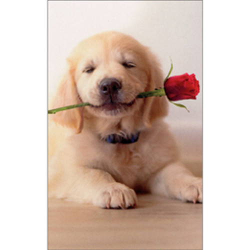 Golden Puppy with Rose Cute Romantic Mini Blank Gift Enclosure Card