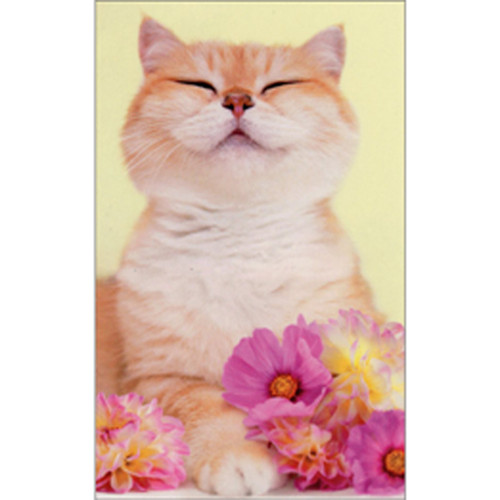 Cat with Pink Flowers Cute Mini Blank Gift Enclosure Card