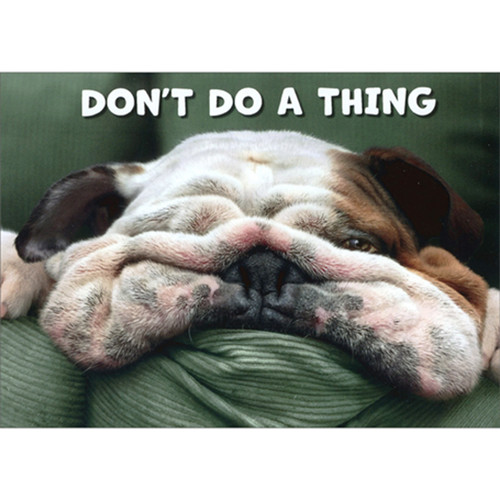 Dog Face Spread Out on Pillow Humorous / Funny Get Well Card: Don't do a thing