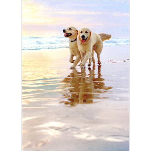 Golden Retriever Dogs Walking on Beach Anniversary Card