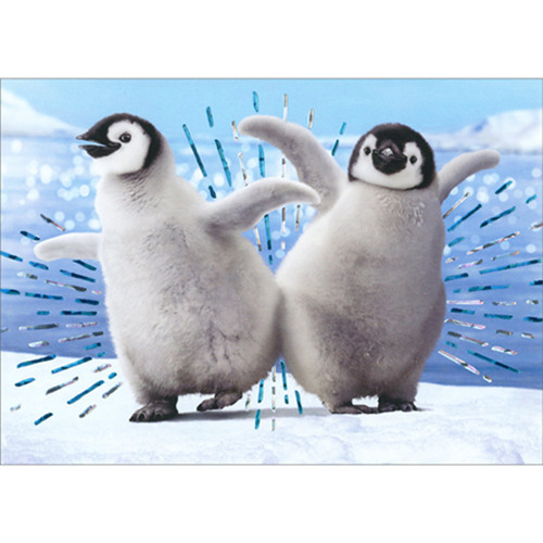 Penguins Dancing Bump Funny / Humorous Birthday Card