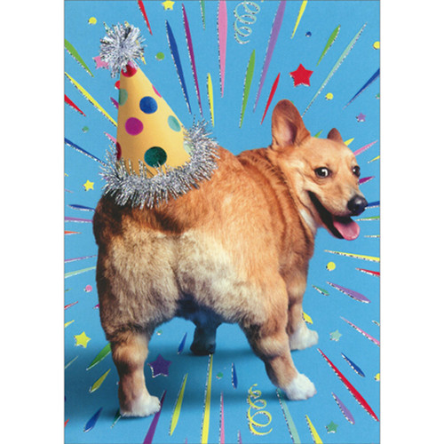 Corgi Butt Birthday Hat Funny / Humorous Dog Birthday Card