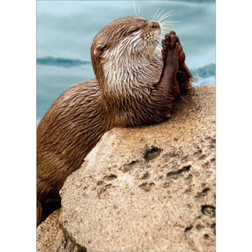 Praying Otter Funny / Humorous Thank You Card