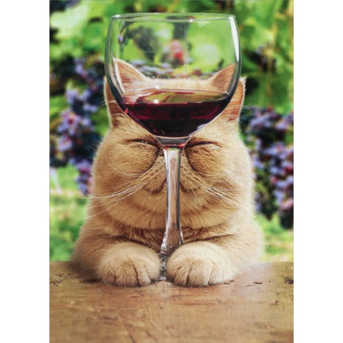Cat With Glass Of Red Wine Funny Birthday Card