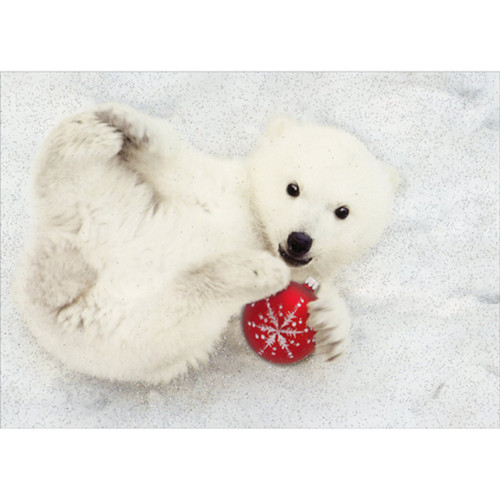 Polar Bear Cub with Feet in Air and Holding Red Ornament Box of 12 Christmas Cards