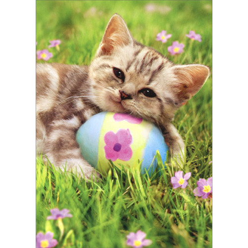 Kitten Hugging Blue, Yellow and Pink Egg in Grass Cute Cat Easter Card