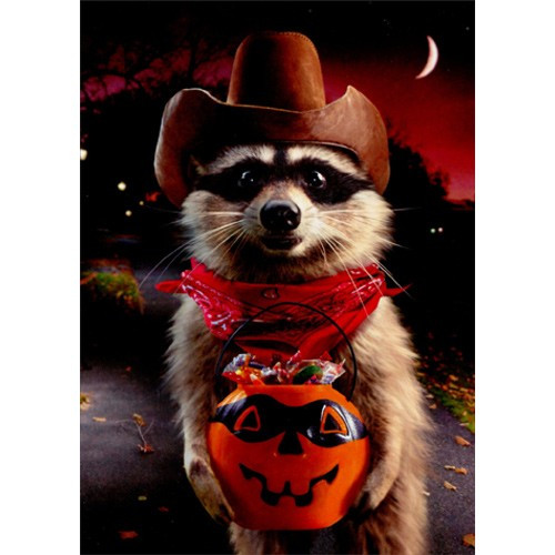 Raccoon Cowboy Trick Or Treating Funny Halloween Card