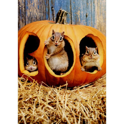 Chipmunk Pumpkin Boo Funny Halloween Card