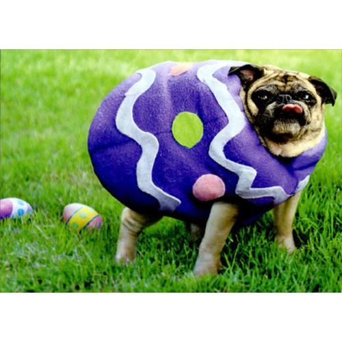 Pug Easter Egg Funny Dog Easter Card