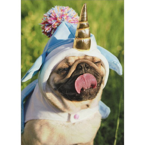 Unicorn Pug Funny Birthday Card