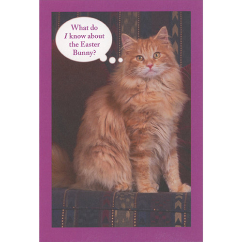 Cat Photo: What Do I Know About the Easter Bunny Funny / Humorous Easter Card from Cat: What do I know about the Easter Bunny?