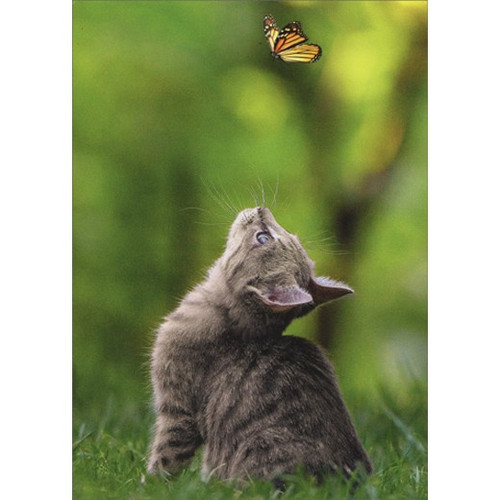 Cat With Butterfly Support Card