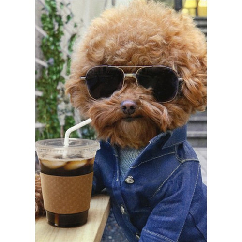 Cool Dog With Coffee Humorous / Funny Birthday Card