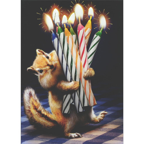 Chipmunk Carrying Lit Striped Candles Photograph Cute Funny / Humorous Birthday Card