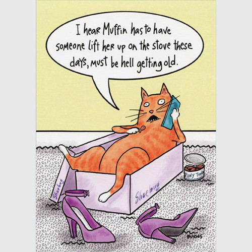 Cat Laying in Shoebox Talking on Phone Funny / Humorous Birthday Card: I hear Muffin has to have someone lift her up on the stove these days, must be hell getting old.