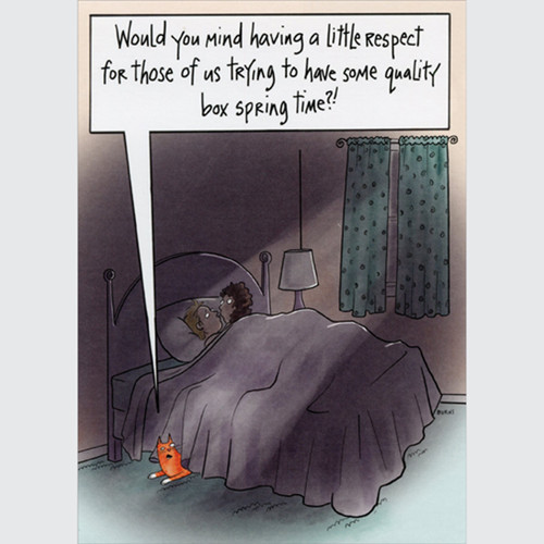 Cat Under Bed Wanting Quality Box Spring Time Funny / Humorous Our Anniversary Congratulations Card for Husband or Wife: Would you mind having a little respect for those of us trying to have some quality box spring time?!