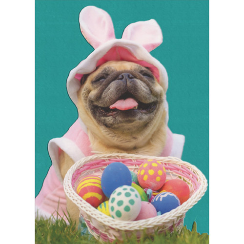 Grinning Pug in Pink Bunny Outfit with Basket of Eggs Photograph Funny / Humorous Easter Card