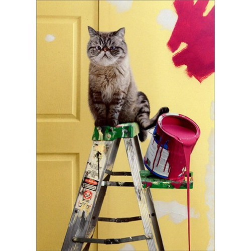 Cat Tips Paint Can Funny New Home Congratulations Card