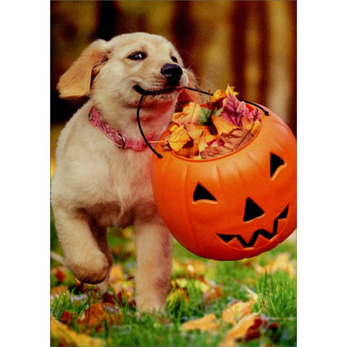 Puppy With Pumpkin Bucket Cute Dog Halloween Card