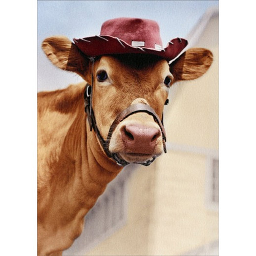 Jersey Cow With Hat America Collection Friendship Card