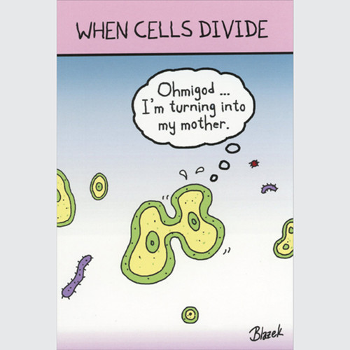 Turning Into My Mother: When Cells Divide Funny / Humorous Mother's Day Card: WHEN CELLS DIVIDE - Ohmigod…  I'm turning into my mother.