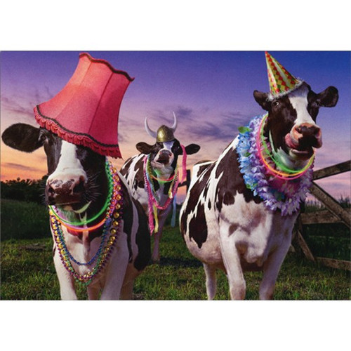 Party Cows Funny / Humorous Birthday Card