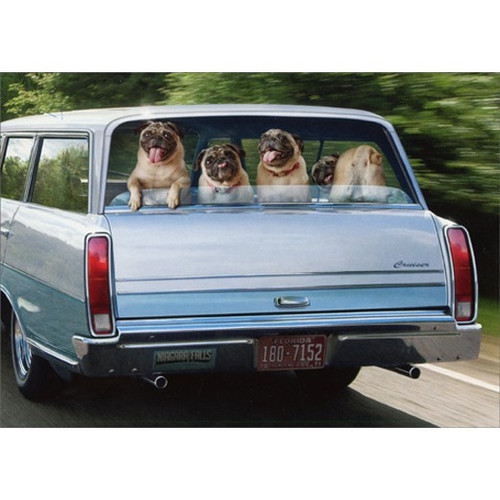 Pug Dogs In Station Wagon Humorous / Funny Birthday Card