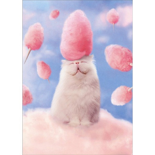 Cotton Candy Cat Humorous / Funny Birthday Card for Her