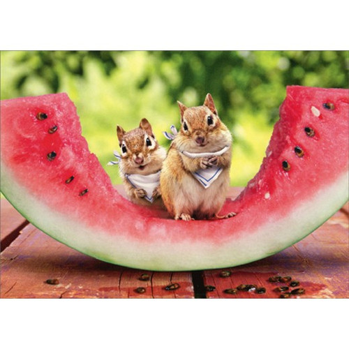 Chipmunk Watermelon Humorous / Funny Birthday Card