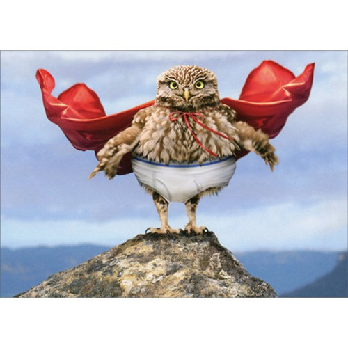 Owl Superhero with Cape Humorous / Funny Birthday Card