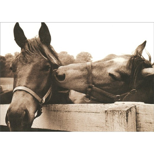 Horses Nuzzling America Collection Romantic Birthday Card