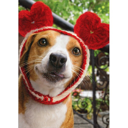 Dog With Heart Cap Funny Valentine's Day Card