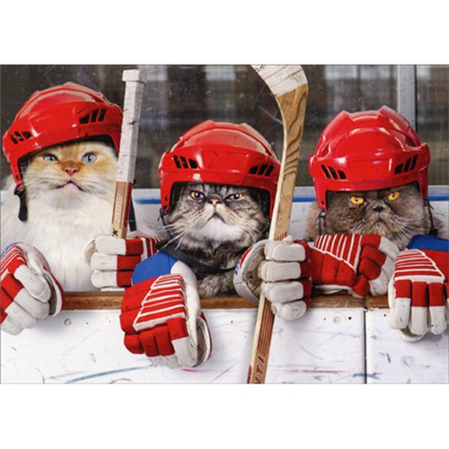 Hockey Cats Funny Birthday Card