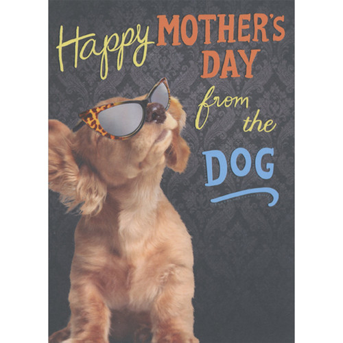 Dog Wearing Sunglasses with Leopard Pattern and Reflective Lenses Funny / Humorous Mother's Day Card from the Dog: Happy Mother's Day from the Dog