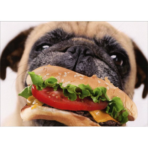 Dog Eats Cheeseburger Funny Pug Birthday Card