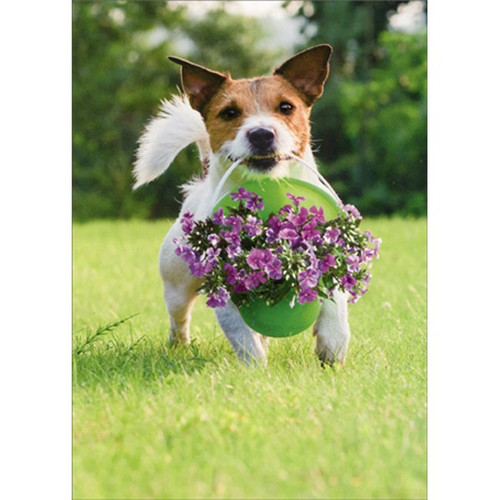Dog With Bucket Of Flowers Terrier Thank You Card