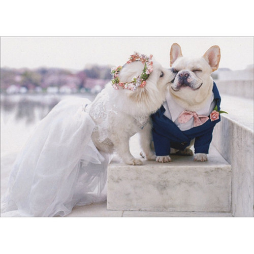 Dogs on Marble Steps Cute French Bulldog Wedding Congratulations Card