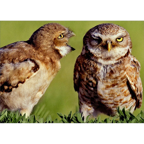 Owl Couple Communication Funny / Humorous Anniversary Card