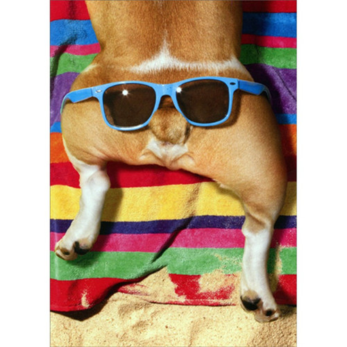 Dog With Glasses On Butt Funny / Humorous Belated Birthday Card