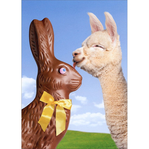 Llama and Chocolate Bunny Funny / Humorous Easter Card