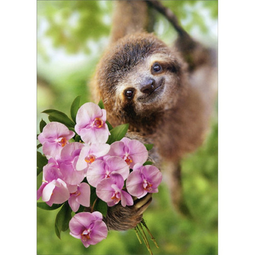 Sloth Holding Flowers Cute Mother's Day Card